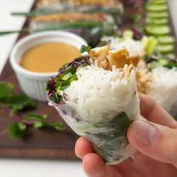 Lemongrass Chicken Rice Paper Rolls With Peanut Hoisin Dipping Sauce
