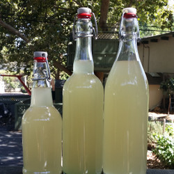 How To Make Ginger Beer