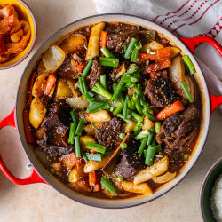 Korean Braised Short Rib Stew
