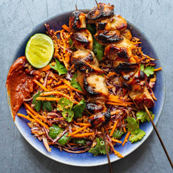 Chicken Satay &amp; Rainbow Quinoa Slaw