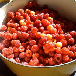 Low Sugar, No Pectin Raspberry Jam