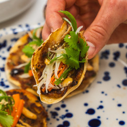 Smash Dumpling Tacos