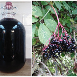 Elderberry Wine Recipe