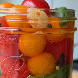 Pickled Cherry Tomatoes