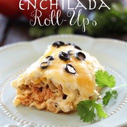 Enchilada Roll-ups - Chef In Training
