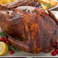 Perfect Electric Oven Roaster Turkey