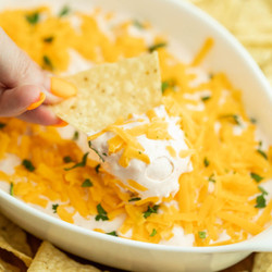 Cream Cheese Salsa Dip