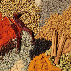 Curry Powder
