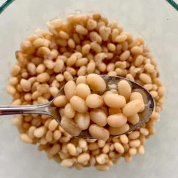 Instant Pot Navy Beans