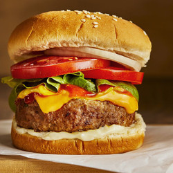Best Turkey Burgers