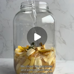 Fermented French Fries