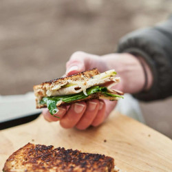Turkey Apple Grilled Cheese