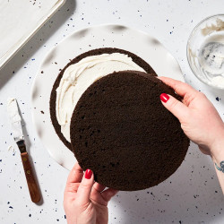 Every-occasion Chocolate Cake