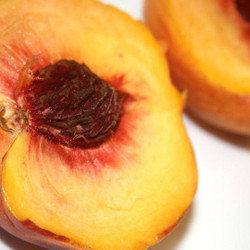 Peach Monsoon Cocktail