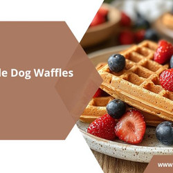 Homemade Dog Waffles