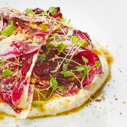 Fermented Blood Orange, Whipped Ricotta, Walnut Butter And Radicchio Salad