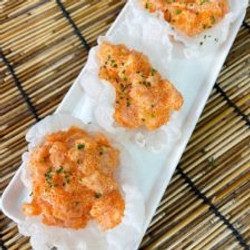 Salmon Rice Paper Chips