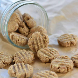 Homemade Cat Treats