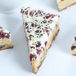 Festive Gluten Free Cranberry Bliss Bars