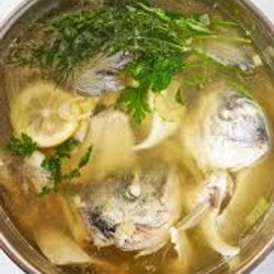 Fish Stock