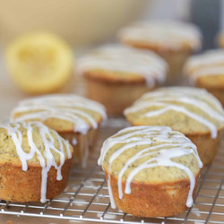 Sourdough Lemon Poppy Seed Muffins