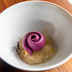 Concord Grape Sorbet