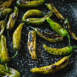 Blistered Japanese Shishito Peppers
