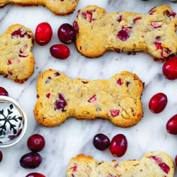 Cranberry Dog Treats