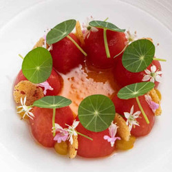 Tomato Vinaigrette