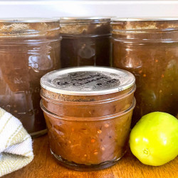 Green Tomato Chutney Recipe (lower Sugar)