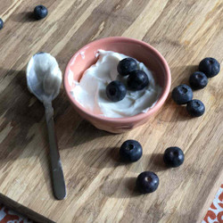 Instant Pot Greek Yogurt