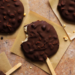Peanut Butter Chip Frozen Yogurt Bars (copycat Buster Bars)
