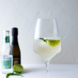 Elderflower Gin Spritz