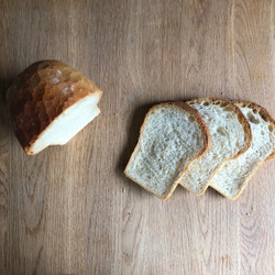 The Overnight Great White
