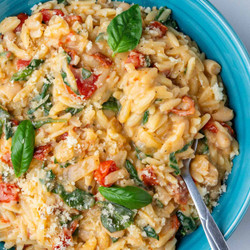 Creamy Orzo Pasta (comfort Food, Creamy Without Cream)