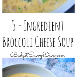 5 - Ingredient Broccoli Cheese Soup Recipe  - Budget Savvy Diva