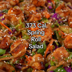 373 Cal Spring Roll Salad