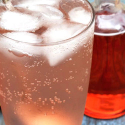 Fruit Shrub Syrup