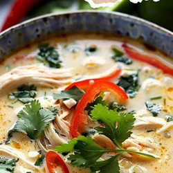 Crockpot Thai Coconut Chicken Soup