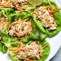 Sesame Ginger Tuna Lettuce Cups