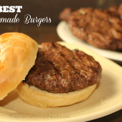The Best Homemade Burgers