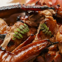 Thanksgiving Turkey Teriyaki