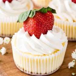 Mini Cheesecakes