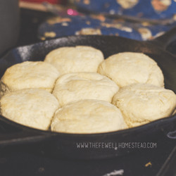 Sourdough Biscuits