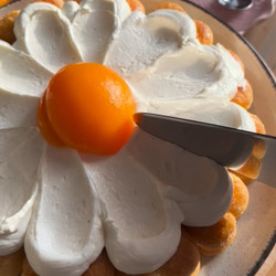 Tiramisù Alle Pesche