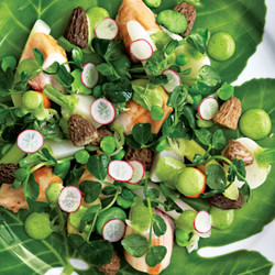 Rabbit With Spring Vegetables, Pea Shoots And Tarragon