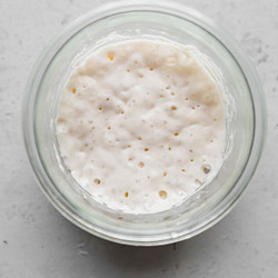How To Revive Dried Sourdough Starter