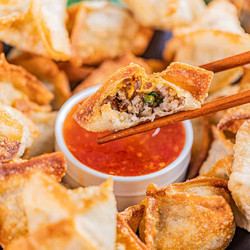 Savory Sausage Wontons