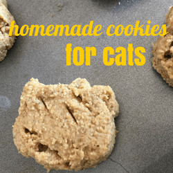 Homemade Cookies For Cats