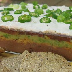 Fiesta Bean Dip
